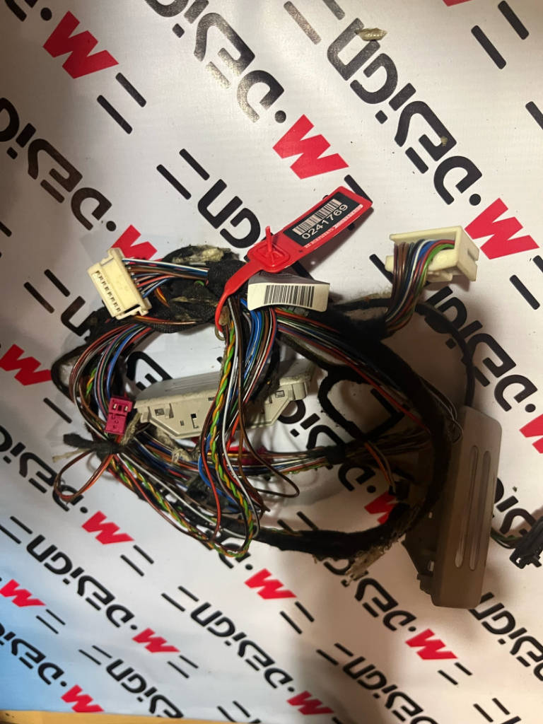 Проводка потолка fzd BMW 51442996111