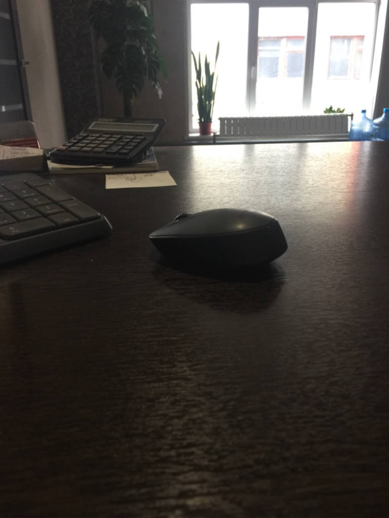 Рессора Nissan Atlas